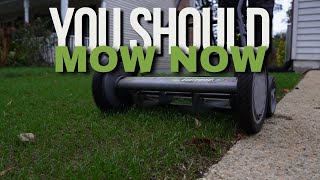 When To Do 1st Mow  Mowed 9 days After Seeding [upl. by Nnednarb]