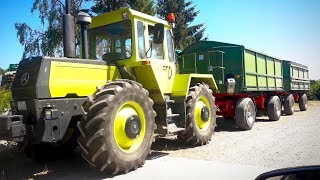 MBTRACS unter´m Rohr   Rapsernte im Detail  LEXION POV Drive  Farmvlog [upl. by Alue743]