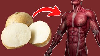 Top 11 Amazing Jicama Benefits  Best Health Benefits of Jicama [upl. by Shepard]