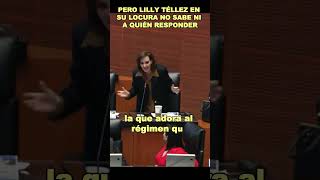 LillyTéllez demuestra su demencia en el Senado [upl. by Burnaby]