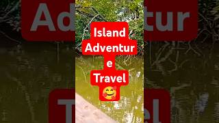 Island Adventure travel 🥰shortsfeedcoastal plants [upl. by Mishaan]