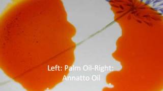 Annatto Oil Palm Oil Substitute [upl. by Oznecniv869]