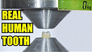 Best Dangerous and Strongest Hydraulic Press Moments Compilation [upl. by Hurwit]