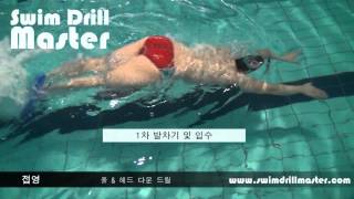 스윔 드릴 마스터  풀 amp 헤드 다운 드릴Pull amp Head down drill [upl. by Liris381]