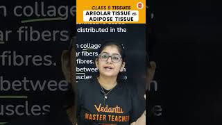 Understanding Areolar vs Adipose Tissue 🧐🔬 vedantu9class cbseclasses [upl. by Drisko]