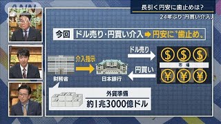 「ポイントは介入にいくら使ったか」円安に歯止め？24年ぶりの為替介入 解説2022年9月22日 [upl. by Atinaj351]