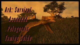 Pelagornis Taming Guide  Ark Survival Ascended [upl. by Cohin316]