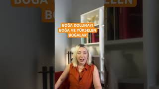 BOĞA DOLUNAYI BOPA VE YÜKSELEN BOĞALAR [upl. by Zerdna179]