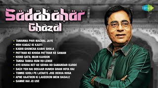 Sadabahar Ghazal  Jagjit Singh Ghazal  Tanha Tanha Hum Ro Lenge  Superhit Ghazals  Hindi Ghazal [upl. by Jankey515]