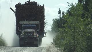 Massive Log Truck Quebec Province Canada Unyielding Motorist Wreck [upl. by Oiramel]