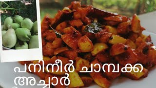 പനിനീർ ചാമ്പക്ക അച്ചാർ l Rose Apple Pickle l Mango Pickle Recipe Kerala l Simple amp Tasty Pickle l [upl. by Igenia]