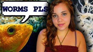 BEST Live Food For Bettas Unboxing Food Cultures amp DIY Grindal Worm Colony [upl. by Leunad]