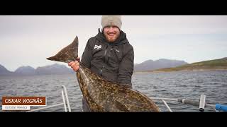 HALIBUT COUNTY  How to catch GIANT HALIBUT in Senja Northern Norway [upl. by Ias]