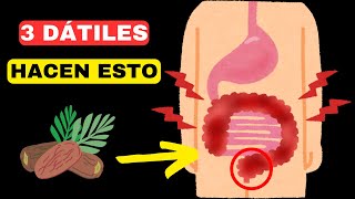 Solo 3 DÁTILES AL DÍA Iniciarán Procesos IRREVERSIBLES en tu ORGANISMO [upl. by Millburn563]