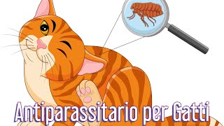 Antiparassitario per Gatti come scegliere senza sbagliare  Consulente Felino [upl. by Hal]