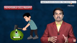 Reversible cell injury  General Pathology Animated USMLE Lecture  Dr Bhanu prakash [upl. by Den471]