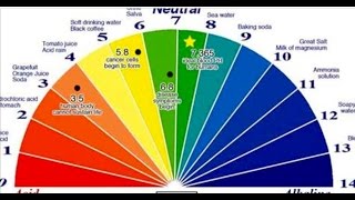 Ácido ou alcalino aqui está a maneira mais fácil de descobrir o pH do seu corpo [upl. by Edva]