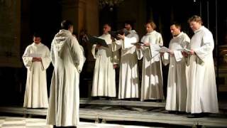 Schola Gregoriana Pragensis  Cantio Ave gloriosa [upl. by Bilak]