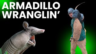 Armadillo Wranglin Armadillo Nuisance Trapping [upl. by Molloy]