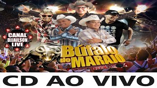 BADALASOM O BUFALO DO MARAJO AO VIVO EM CARUTAPERA MA 2014  CANAL DJJAILSON LIVE [upl. by Aliek]