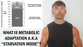 What Is Metabolic Adaptation Starvation Mode [upl. by Nelram]