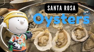 Cooking Oysters from Santa Rosa amp Dungeness Crabs 🦀 [upl. by Ansel952]