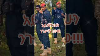 አምና አድስ አበባ  Best Amharic Music [upl. by Eeznyl]