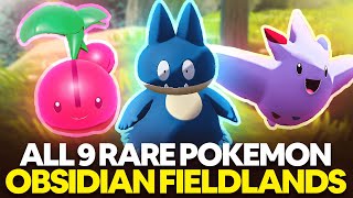 ALL 9 RARE Pokemon in Obsidian Fieldlands in Pokemon Legends Arceus [upl. by Hagan163]