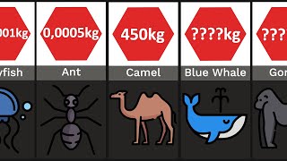 Animal Strength  Comparison [upl. by Tonye685]