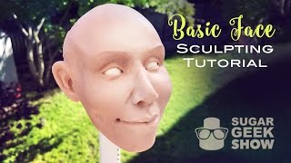 Basic Face Sculpting Promo [upl. by Vittorio]