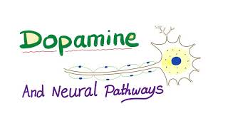 Neurotransmitters  Dopamine amp Dopaminergic Neural Pathways  Physiology amp Pharmacology [upl. by Tab]