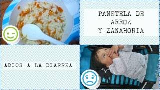 PANETELA DE ARROZ Y ZANAHORIA  ADIOS A LA DIARREA [upl. by Seften68]