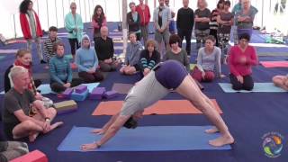 Iyengar Yoga class By Birjoo Mehta  World Yoga Festival [upl. by Kinimod]