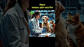 বিড়াল আবারো প্রমাণ করে দিল। cat and dog saliva under microscope islamic shorts video [upl. by Nuli]