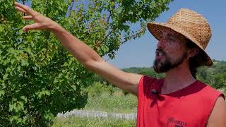 CASDAR SMART  Visite du vergermaraîcher de la ferme Brin de Terre [upl. by Meingolda608]