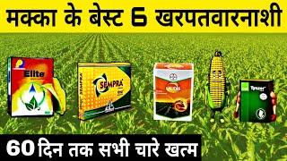 मक्का के बेस्ट 6 खरपतवारनाशी  laudis herbicide  sempra  basf tynzer herbicide  lodis  tinger [upl. by Nagaer426]