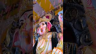 KAMLA NAGAR BALKESHWAR AGRA GANPATI MAHARAJ 🙏 shortvideo apnaagra ganpatibappamorya [upl. by Attiuqal]