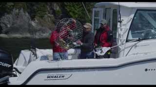 Boston Whaler 285 Conquest Pilothouse [upl. by Nwaf]