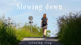 A Peaceful Nature Walk to Slow Down  Silent Vlog [upl. by Settle653]