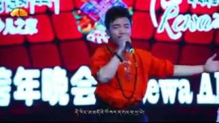 Tibetan Losar Song 2016 [upl. by Cammy]