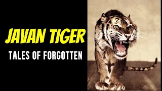 Javan Tiger  Tales Of Forgotten [upl. by Odracer787]