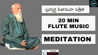 PatrijiGuidedMeditation  20 min Music for Meditation [upl. by Imoyaba]