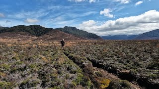 3 Days Tramping in Kaimanawa Forest Park Boyd  Tussock Huts Loop [upl. by Nylanej]