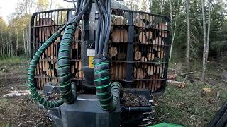 John Deere 1010G forwarding pine pulpwood [upl. by Loutitia]