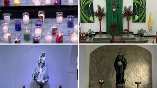 Holy Mass  10 Dec 2024 Tuesday of the 2nd week of Advent [upl. by Nairadal]