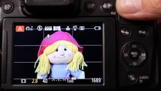 AE and AF lock AFF AFS and AFC focus styles on Panasonic Lumix Cameras Explained [upl. by Nylirem585]