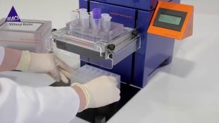 How to Isolate Pure Microglia  Video Protocol [upl. by Orelia]