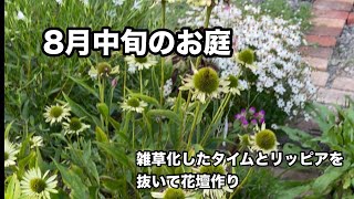 【ガーデニング】雑草化したタイムとリッピアを抜いて花壇作り8月中旬のお庭秋にも活躍する苗を購入 [upl. by Nauwaj1]