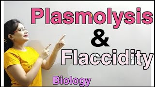 DG Pathshala Plasmolysis Flaccidity Absorption by Roots Topic for Class10 ICSE Biology [upl. by Joselow]