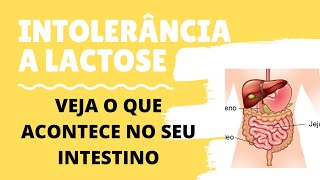 O que é a Intolerância à Lactose e o que acontece no seu corpo [upl. by Yecnay]